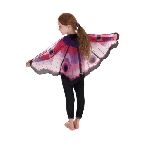 Pink Butterfly Wings