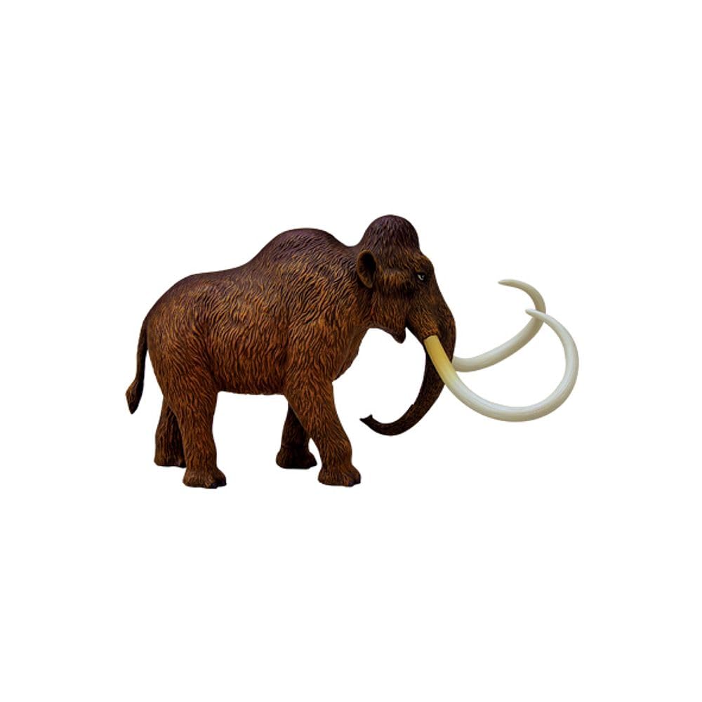 Tedco 4D Vision Woolly Mammoth Anatomy Model