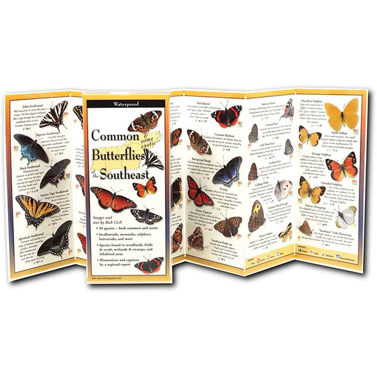 Earth Sky + Water FoldingGuide Common Butterflies of the Southeast - Foldable Laminated Nature Identification Guide