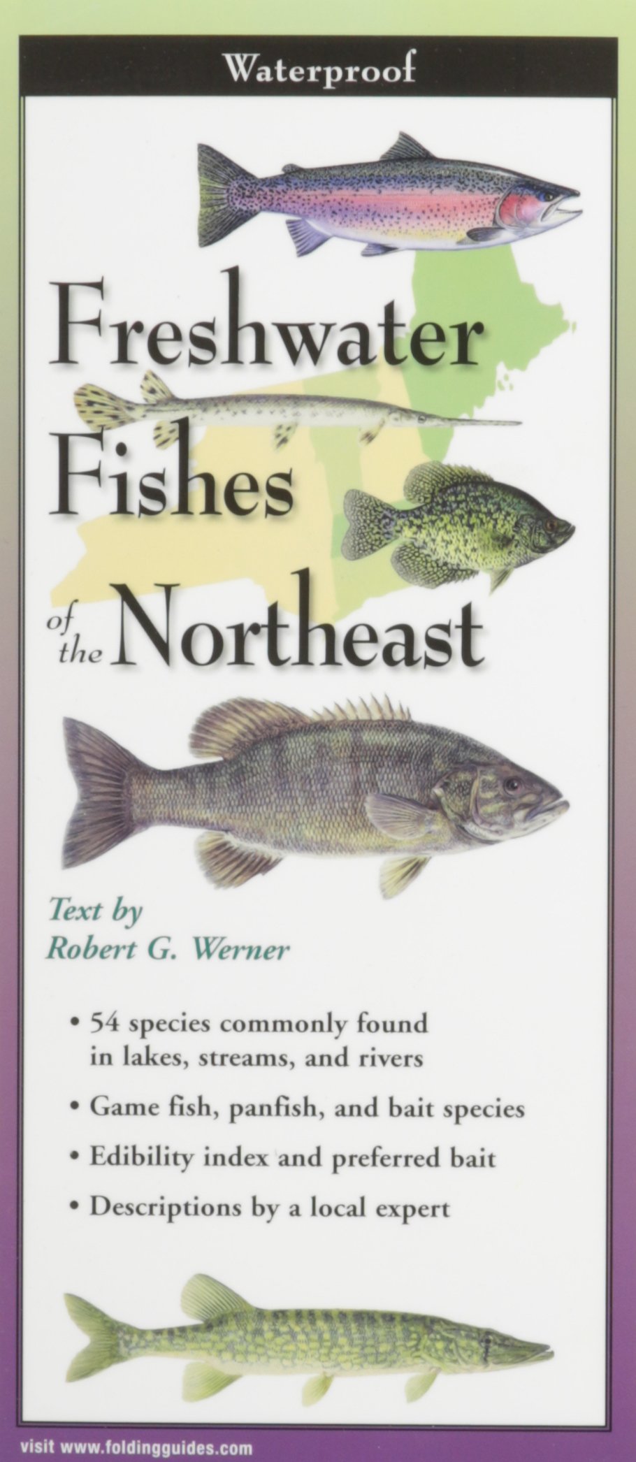 Earth Sky + Water FoldingGuide Freshwater Fishes of New England & Adirondacks - Foldable Laminated Nature Identification Guide