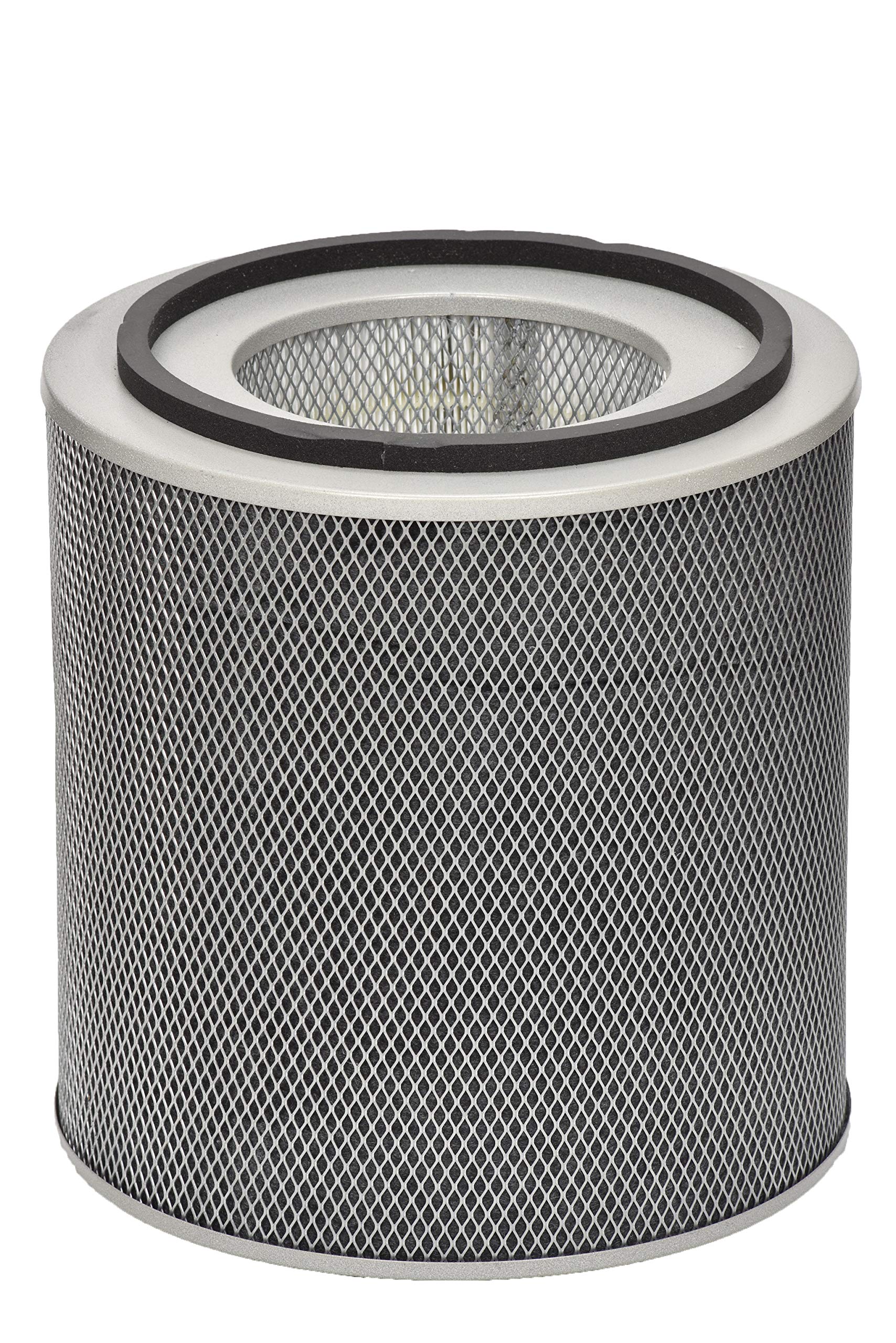 Austin Air FR400B Healthmate Standard Replacement Filter, White