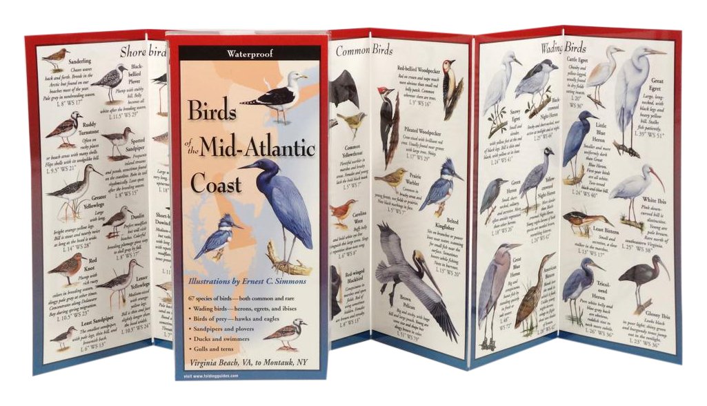 Earth Sky + Water FoldingGuide Birds of the Mid-Atlantic Coast - Guía plegable laminada de identificación de la naturaleza