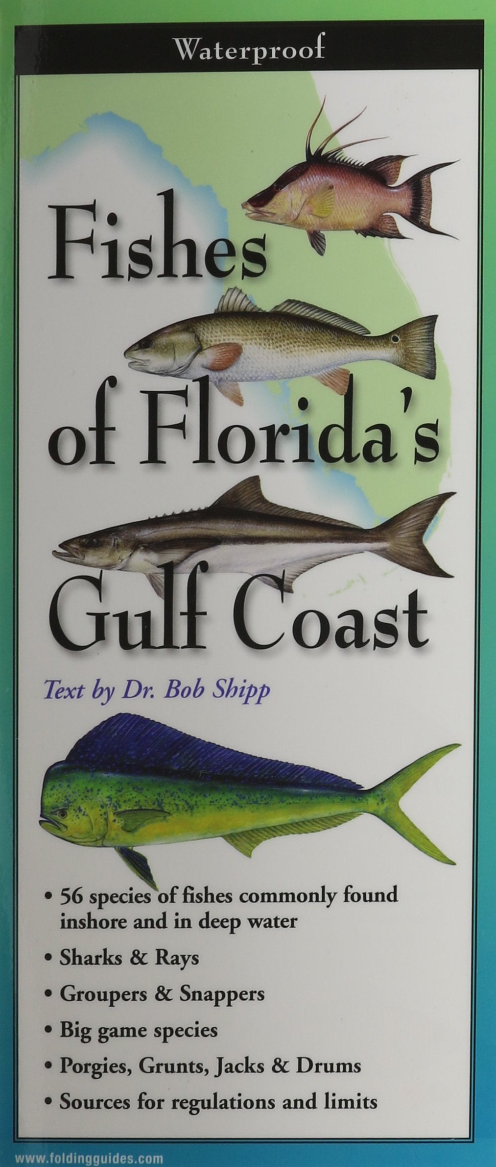 Earth Sky + Water FoldingGuide Peces de la costa del Golfo de Florida: guía plegable laminada para identificar la naturaleza