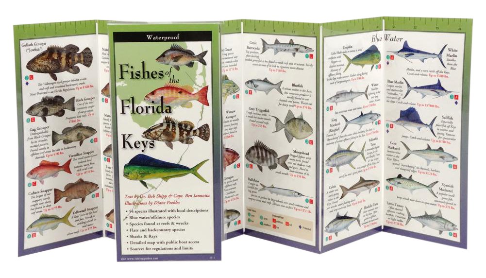 Earth Sky + Water FoldingGuide Peces de los Cayos de Florida - Guía plegable laminada de identificación de la naturaleza