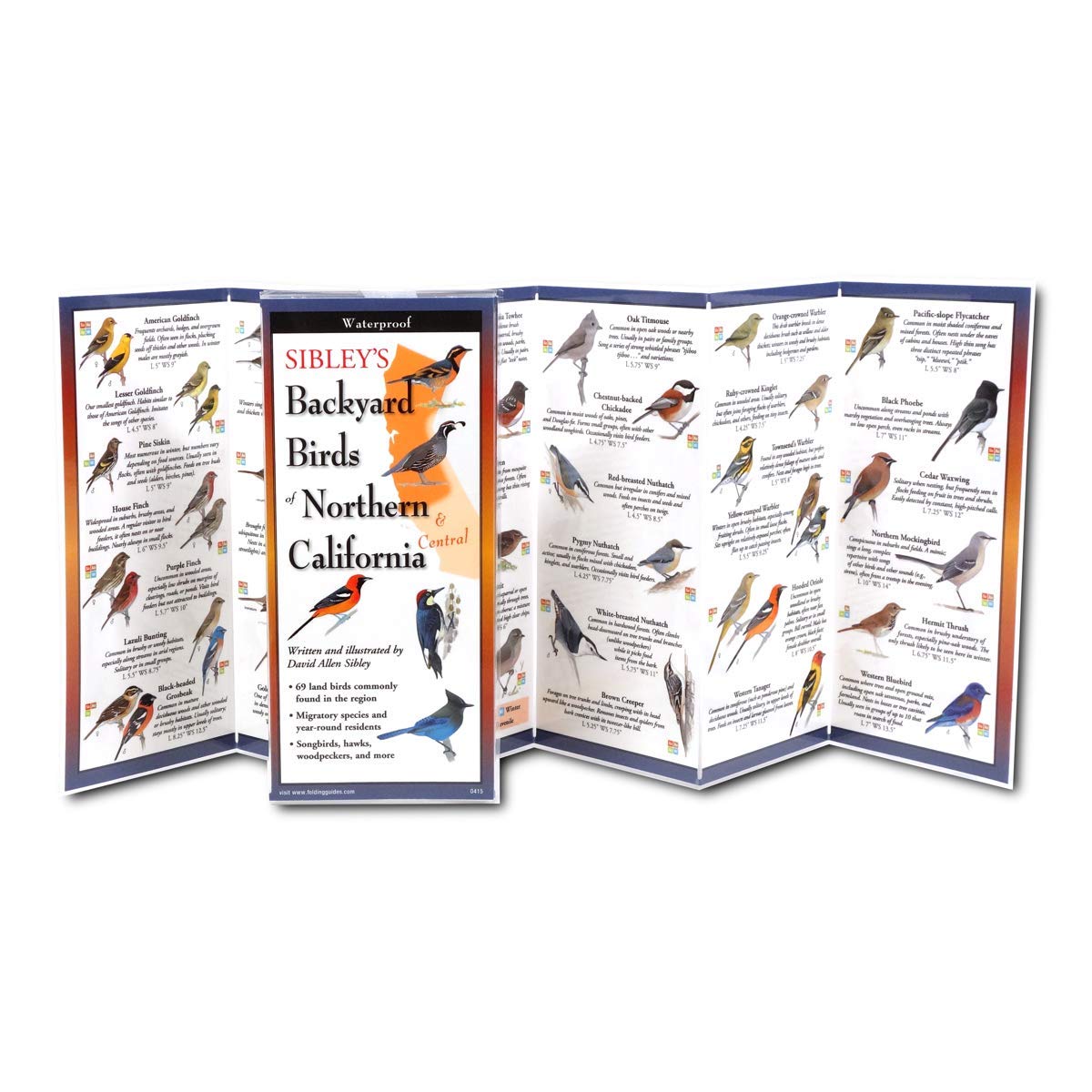 Earth Sky + Water FoldingGuide Sibleys Backyard Birds of Northern &amp; Central California - Guía plegable laminada de identificación de la naturaleza