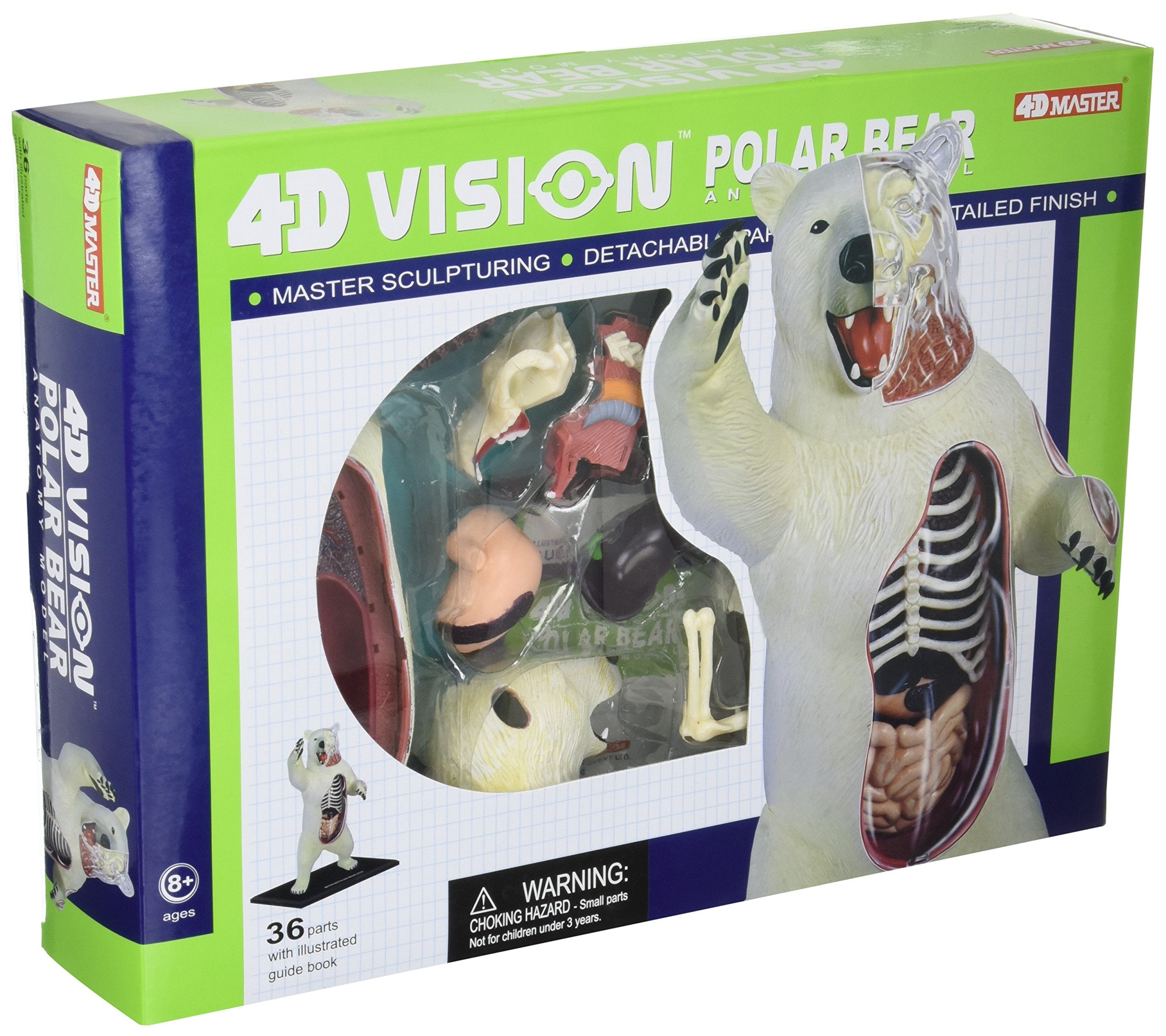 4D Master 4D Vision Polar Bear Anatomy Model Science Kit, One Color, 26097