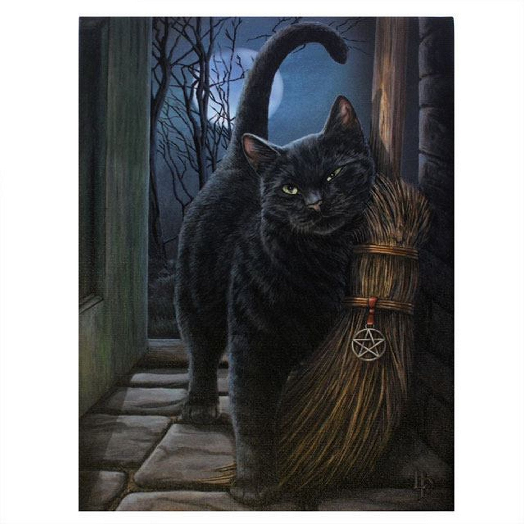 Lisa Parker Small Brush With Magick Canvas Picture 7 x 10