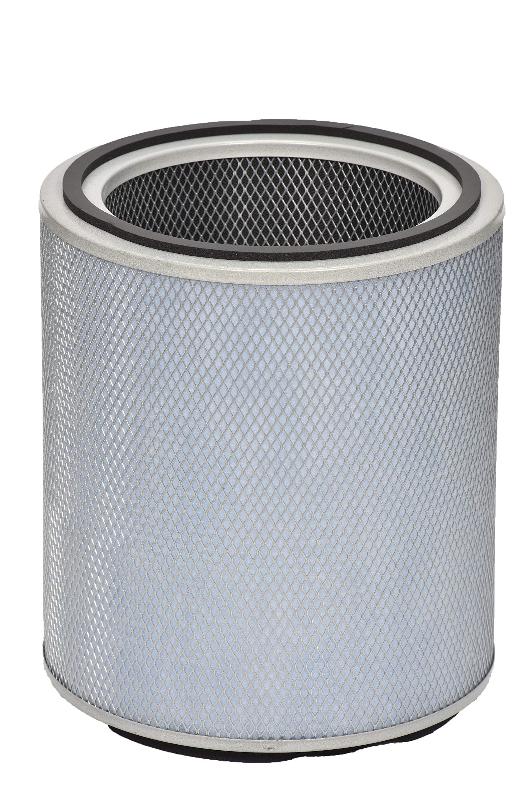 Austin Air FR405B Allergy Machine Standard Replacement Filter, White