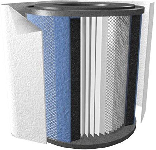 Austin Air FR200 HealthMate Jr. Replacement Filter - White