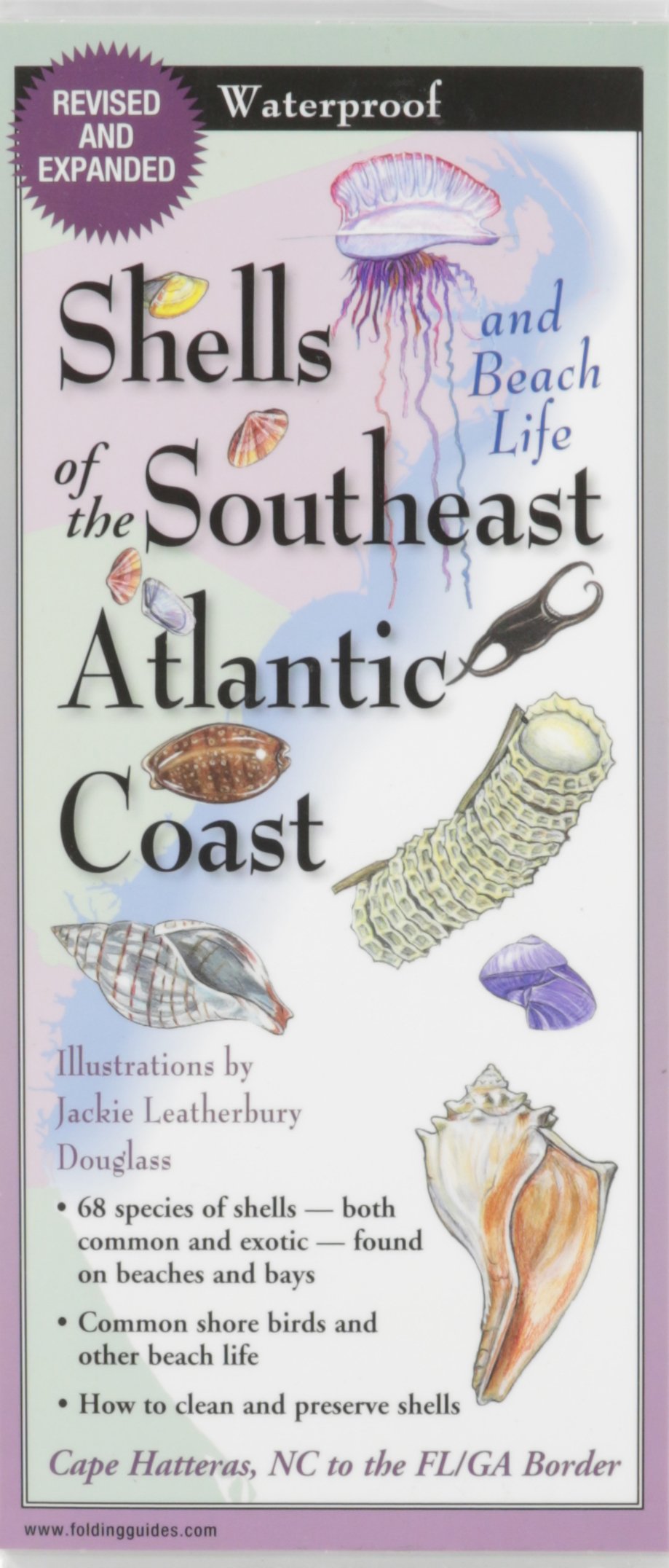 Earth Sky + Water FoldingGuide Shells of the Southeast Atlantic Coast - Foldable Laminated Nature Identification Guide