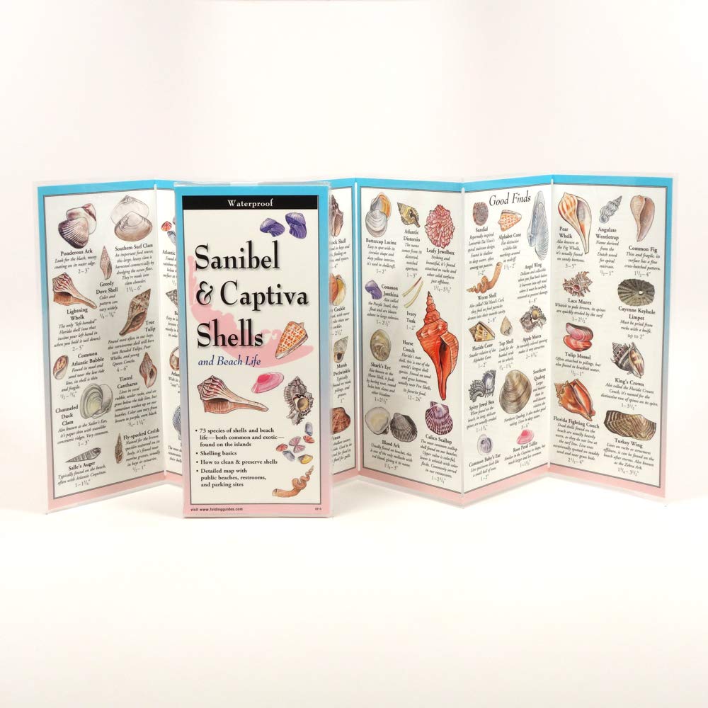 Earth Sky + Water FoldingGuide Sanibel & Captiva Shells and Beach Life - Foldable Laminated Nature Identification Guide