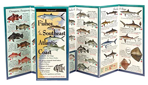 Earth Sky + Water FoldingGuide Fishes of the Southeast Atlantic Coast - Foldable Laminated Nature Identification Guide