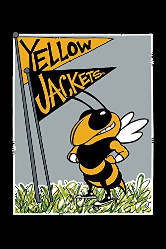 Collegiate Garden Flag (Georgia Tech Mascot)