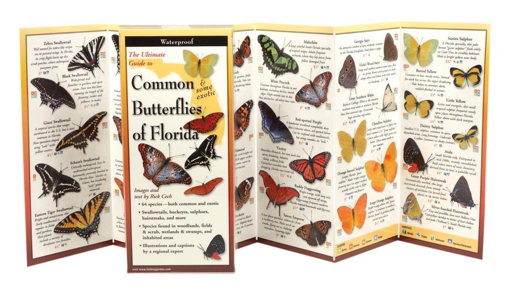 Earth Sky + Water FoldingGuide Mariposas comunes de Florida: guía plegable laminada para identificación de la naturaleza