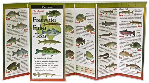 Earth Sky + Water FoldingGuide Freshwater Fishes of Texas - Foldable Laminated Nature Identification Guide