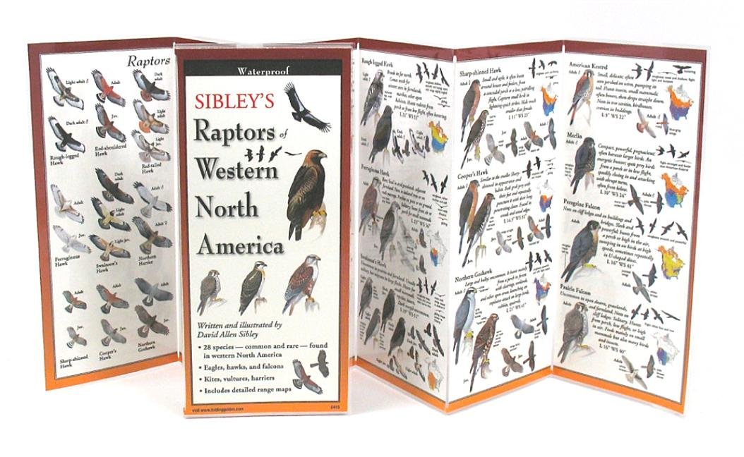 Earth Sky + Water FoldingGuide Sibleys Raptors of Western North America - Foldable Laminated Nature Identification Guide