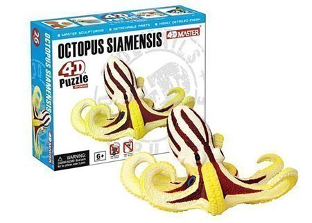 Build your own 3 inch Octopus Siamensis Model - 26 piece 3D Puzzle (Age 6+)