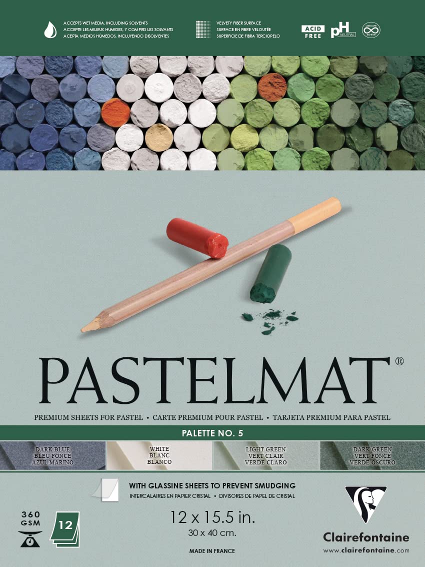 Clairefontaine Pastelmat Glued Pad - Palette No. 5 - (12 x 15 3/4 Inches) 30 x 40 cm - 360g - 12 Sheets - Dark Green, Light Green, White, Dark Blue