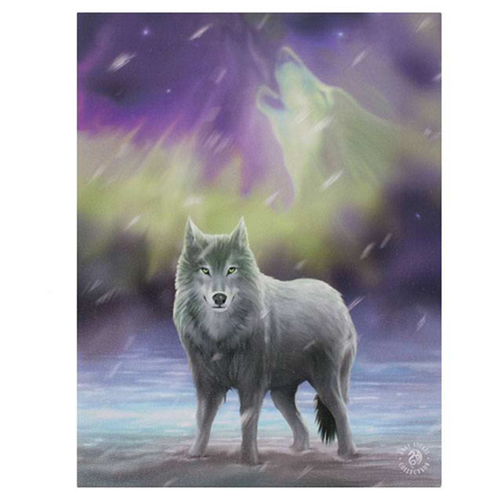 Lisa Parker Aura Wolf Canvas Art Print 7 x 10