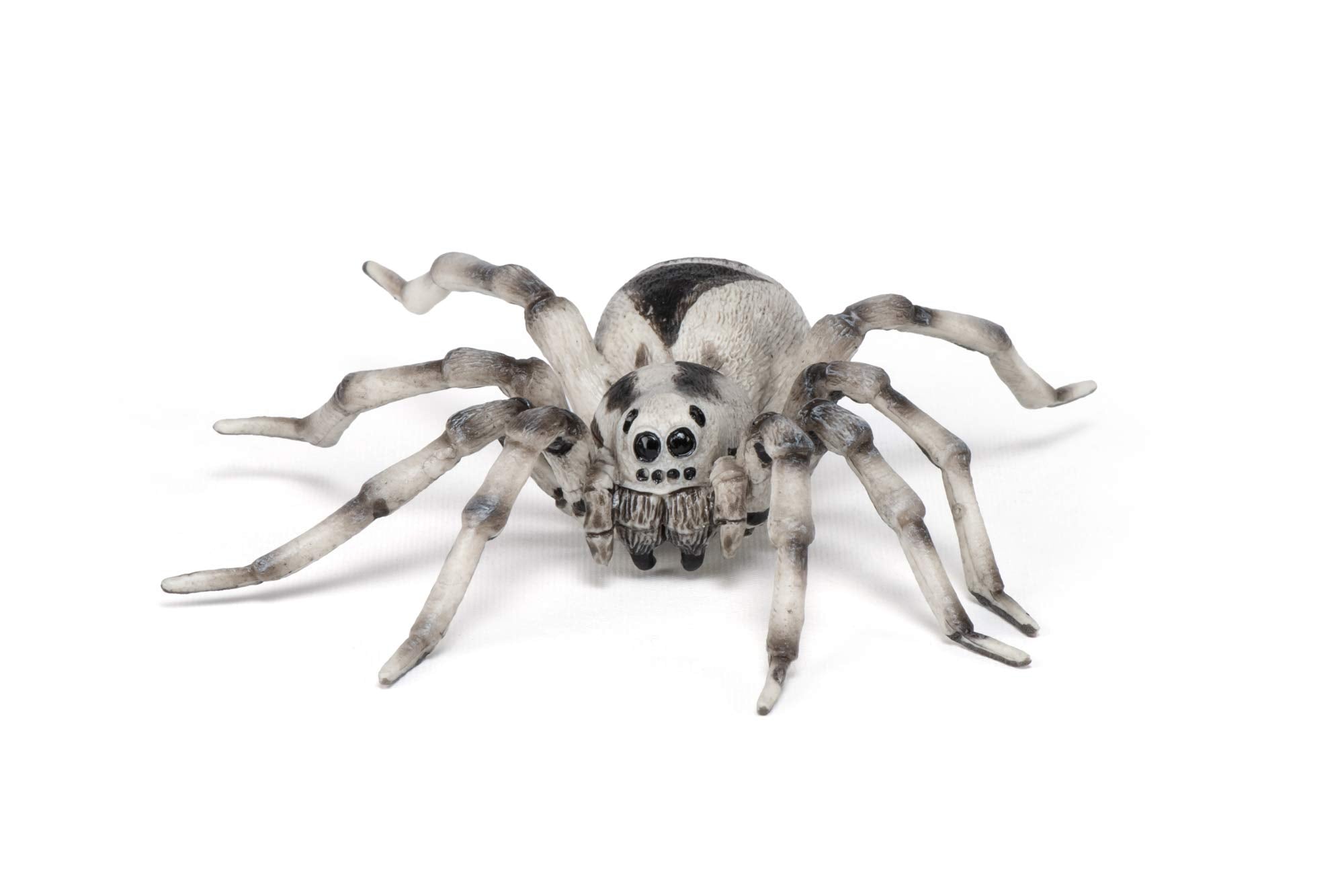 Papo Tarantula Figure, Multicolor